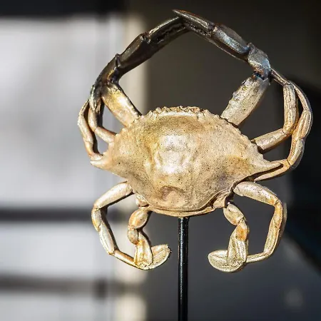 Luxurious In Texel וילה *