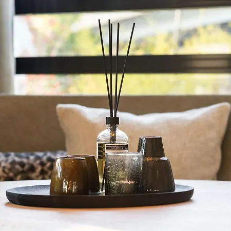 Luxurious In Texel Villa *